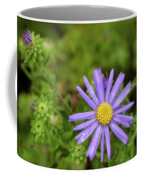 Aster Coffee Mug featuring the photograph Gods Handiwork by James Barber