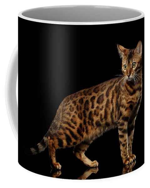 Cat Coffee Mug featuring the photograph Gold Bengal Cat on Isolated black background by Sergey Taran