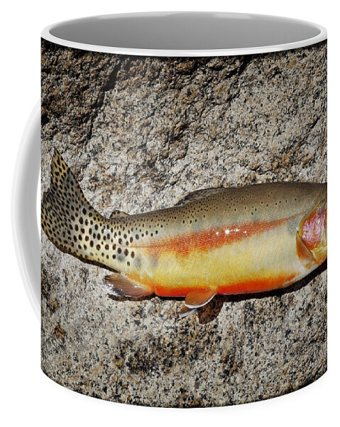 Golden Trout Coffee Mug featuring the photograph Golden Beauty by Kelley King