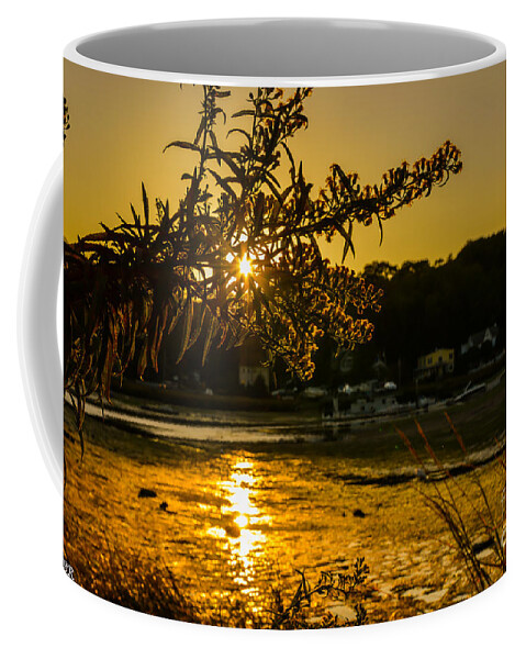 Summer Coffee Mug featuring the photograph Golden Centerport by Alissa Beth Photography