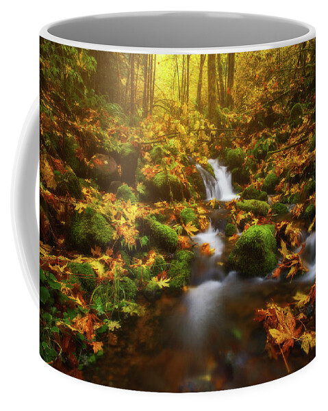 Fall Coffee Mug featuring the photograph Golden Creek Cascade by Darren White