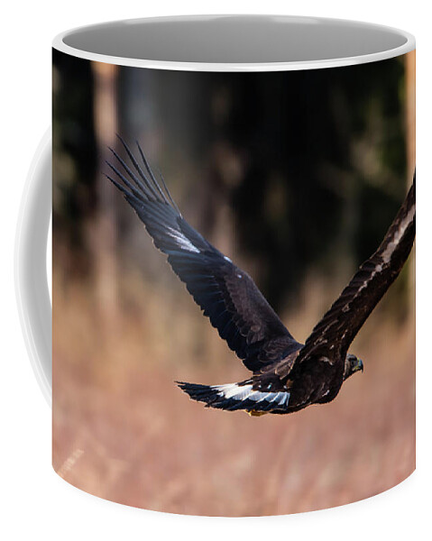 Golden Eagle Coffee Mug featuring the photograph Golden Eagle flying by Torbjorn Swenelius