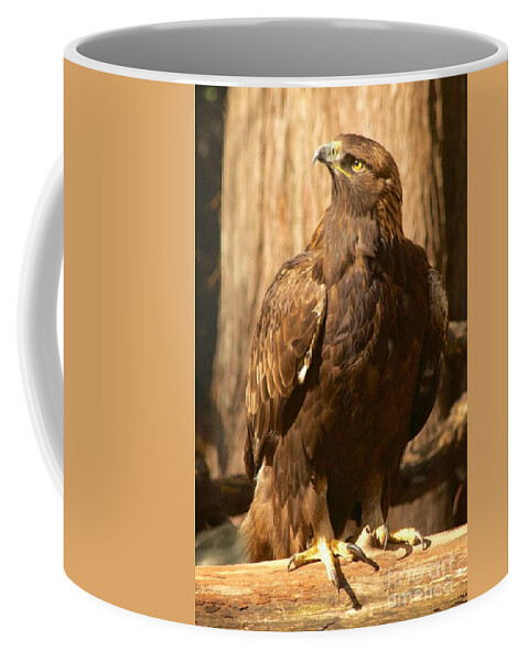 Photography Coffee Mug featuring the photograph Golden Eagle by Sean Griffin