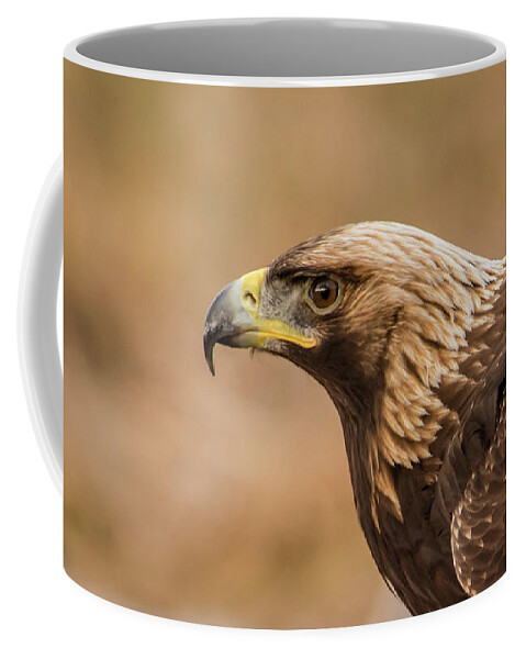 Golden Eagle Coffee Mug featuring the photograph Golden Eagle's Portrait by Torbjorn Swenelius
