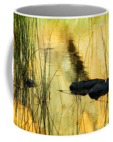 Water Coffee Mug featuring the photograph Golden Glow by Donna Blackhall