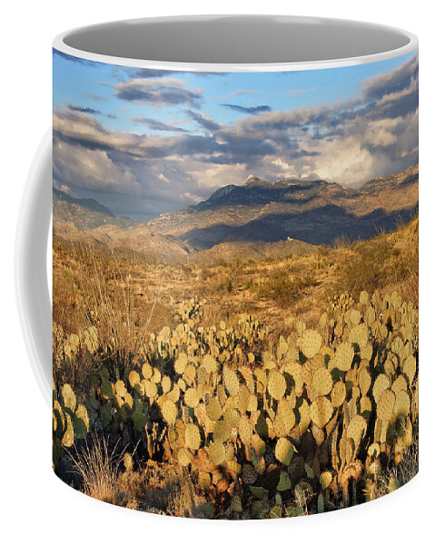 Arizona Coffee Mug featuring the photograph Golden Hour by Leda Robertson