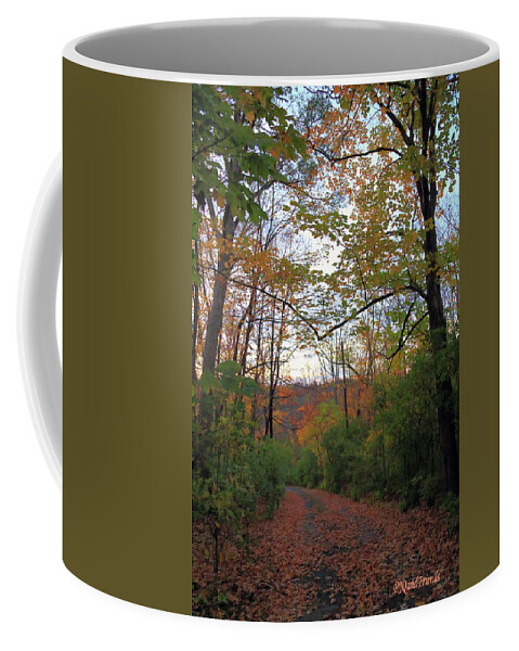 Golden Hour Of Autumn Coffee Mug featuring the photograph Golden Hour of Autumn by PJQandFriends Photography