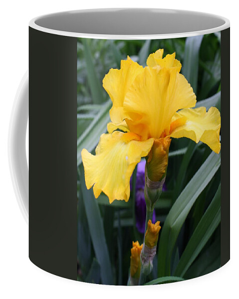 Flora Coffee Mug featuring the photograph Golden Iris by Bruce Bley
