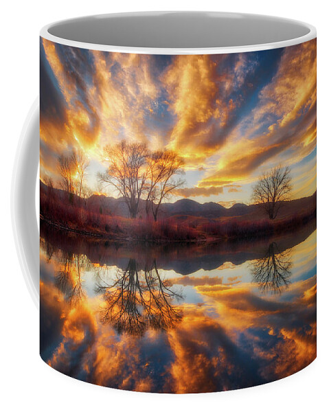 Colorado Coffee Mug featuring the photograph Golden Light on the Pond by Darren White