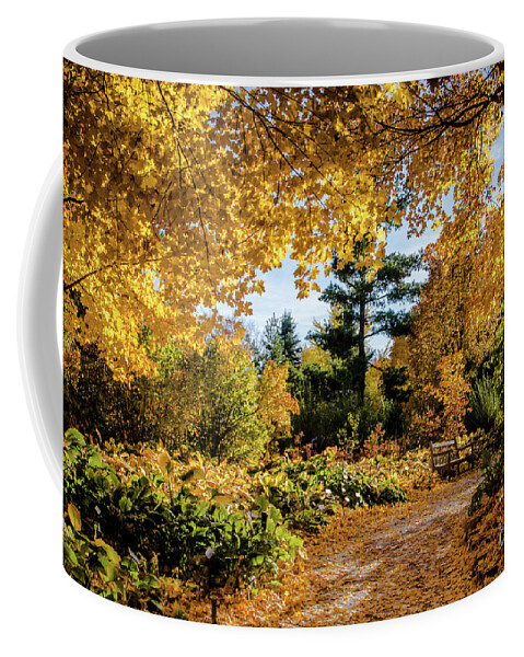 Tinas Captured Moments Coffee Mug featuring the photograph Golden Moment by Tina Hailey