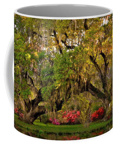 Oak Coffee Mug featuring the photograph Golden Oaks by Lisa Lambert-Shank