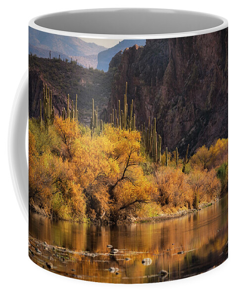 Arizona Coffee Mug featuring the photograph Golden Reflections by Saija Lehtonen