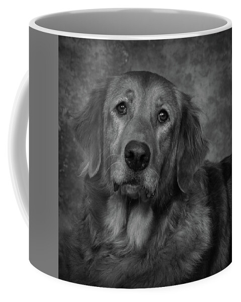 Dog Coffee Mug featuring the photograph Golden Retriever In Black and White by Greg and Chrystal Mimbs