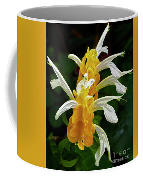 Golden Shrimp Plant Coffee Mug featuring the photograph Golden Shrimp Plant by Steve Ondrus