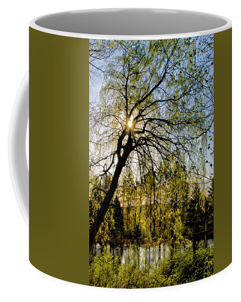 Scenic Coffee Mug featuring the photograph Golden Sunlight Through Green Tree by Christina Rollo