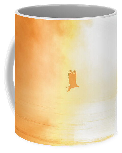American Bald Eagle Coffee Mug featuring the photograph Golden Sunrise and Eagle 2016 by Thomas Young