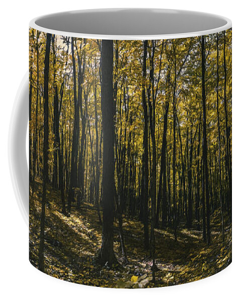 Forest Coffee Mug featuring the photograph Golden Woods by Scott Norris