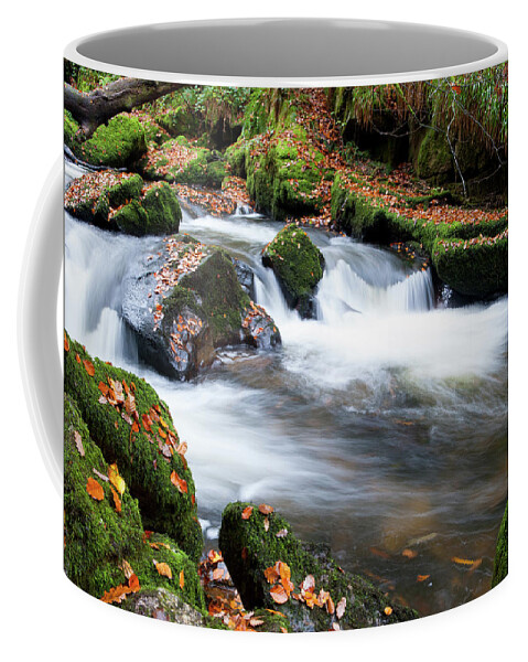 Blurry Water Coffee Mug featuring the photograph Golitha Falls iii by Helen Jackson