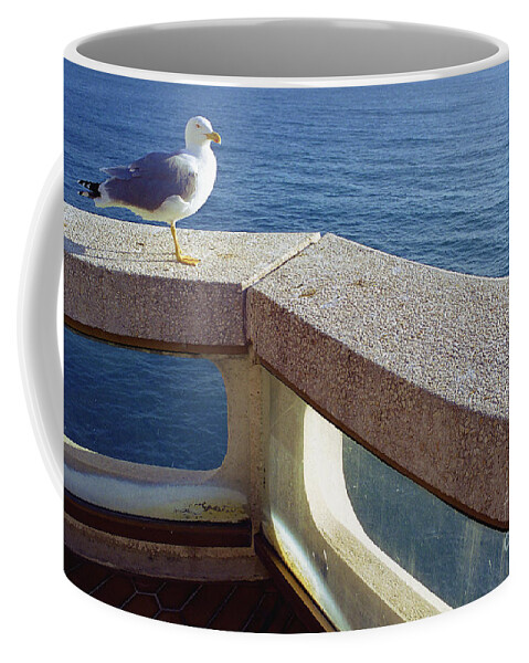 Birds Coffee Mug featuring the photograph Good Morning Sunshine, Monaco by Marc Nader