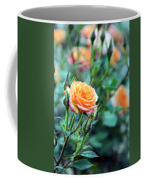 Small Coffee Mug featuring the photograph Good Things Come In Small Packages by Angelina Tamez