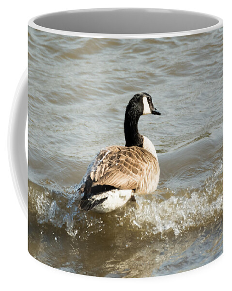 Goose Coffee Mug featuring the photograph Goose Rides A Wave by Holden The Moment