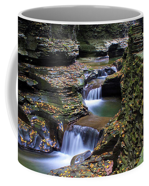 Nunweiler Coffee Mug featuring the photograph Gorge Trail by Nunweiler Photography
