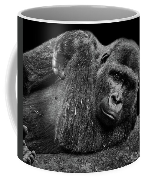 Gorilla Coffee Mug featuring the photograph Gorilla by Jaime Mercado