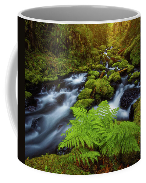 Ferns Coffee Mug featuring the photograph Gorton Creek Fern by Darren White