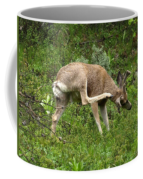 Deer Coffee Mug featuring the photograph Gotta Itch by DeeLon Merritt