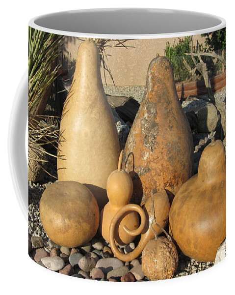 Gourds Coffee Mug featuring the photograph Gourds in the Sun by Barbara Prestridge