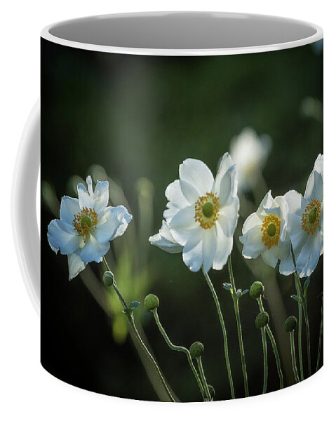 Anemone Coffee Mug featuring the photograph Graceful Anemones, No. 2 by Belinda Greb