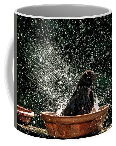 Grackle Coffee Mug featuring the photograph Grack Bath Flower Pot by Jim Moore