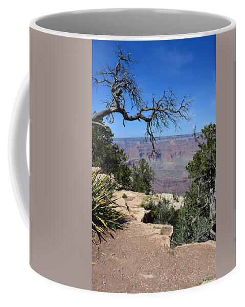 Grand Canyon Coffee Mug featuring the photograph Grand Canyon 2 by Aimee L Maher ALM GALLERY