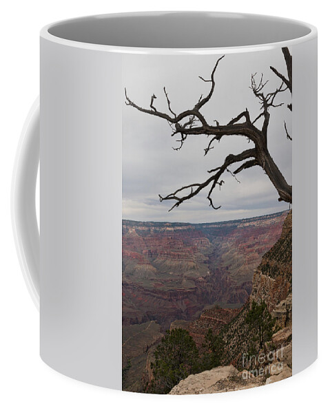 Grand Canyon Coffee Mug featuring the photograph Grand Canyon Branches by Ana V Ramirez