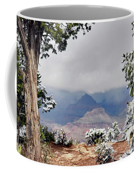 Grand Canyon Coffee Mug featuring the photograph Grand Canyon Through the Trees by Debby Pueschel