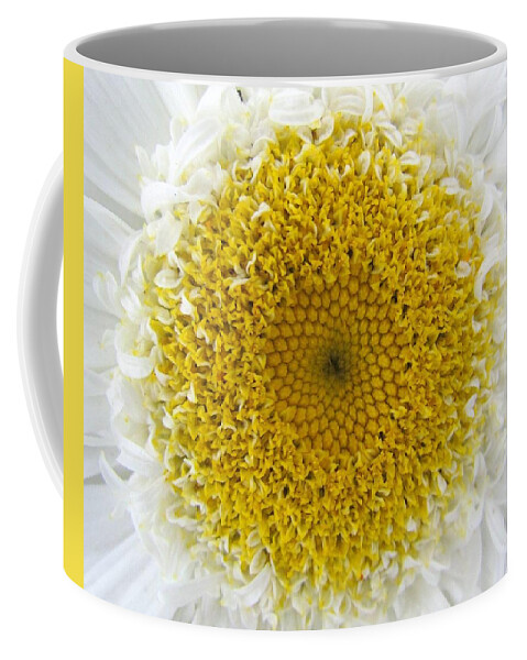 Flower Coffee Mug featuring the photograph Grand Central Daisy by Lori Lafargue