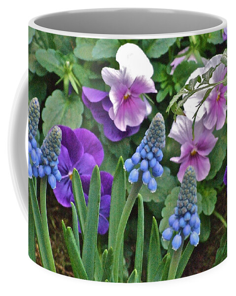 Hyacinth Coffee Mug featuring the photograph Grape Hyacinth by Janis Senungetuk