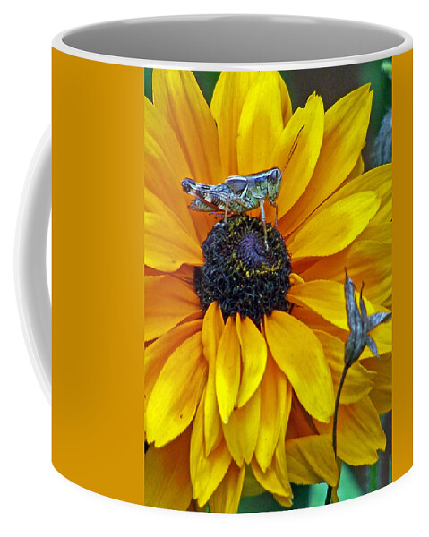 Insects Coffee Mug featuring the photograph Grasshopper and Susan by Jennifer Robin