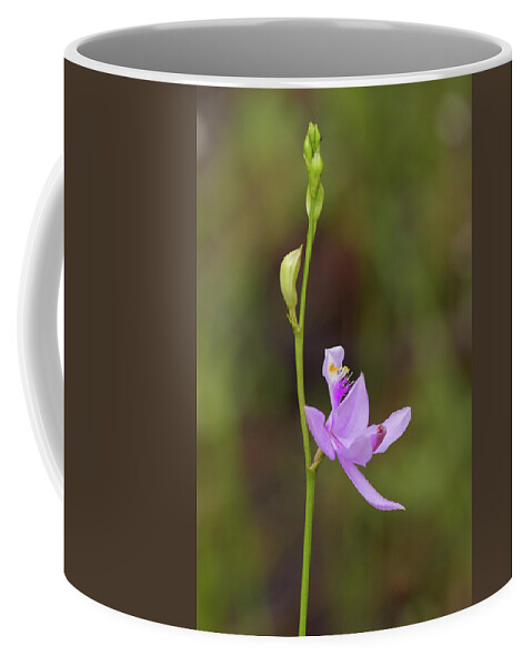 Orchid Coffee Mug featuring the photograph Grasspink #2 by Paul Rebmann