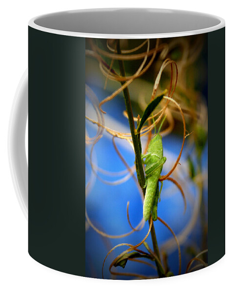 Grasshopper Coffee Mug featuring the photograph Grassy Hopper by Chris Brannen