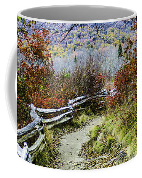 Trail Coffee Mug featuring the photograph Graveyard Fields Trail by Allen Nice-Webb