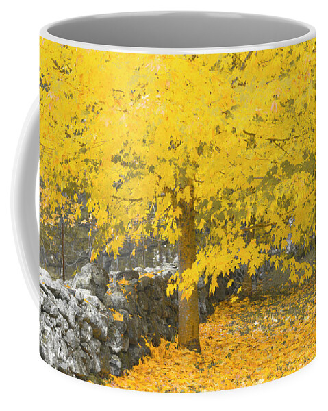 Fall. Maine Coffee Mug featuring the photograph Gravitational Inevitability by Jeff Cooper
