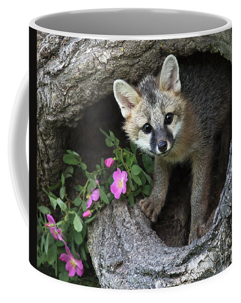 Gray Fox Coffee Mug featuring the photograph Gray Fox Kit by Art Cole