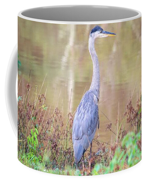 Great Blue Heron Coffee Mug featuring the photograph Great Blue Heron by Mary Ann Artz