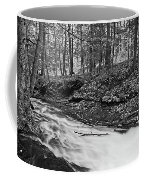Waterfall Coffee Mug featuring the photograph Grayville Cascades Black and White by Allan Van Gasbeck