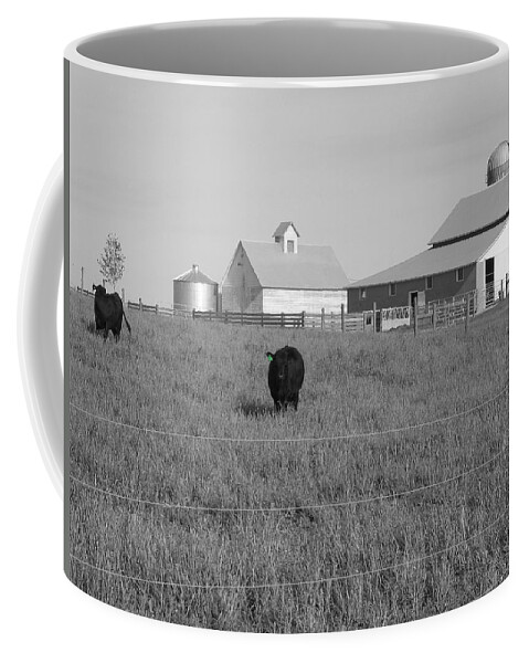 Bovine Coffee Mug featuring the photograph Grazing Buddies by Dylan Punke