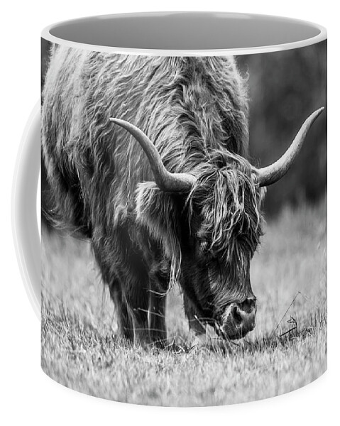 Highland Cows Coffee Mug featuring the photograph Grazing by Katrina Martlew