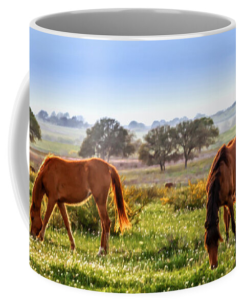 America Coffee Mug featuring the photograph Grazing Time by Melinda Ledsome