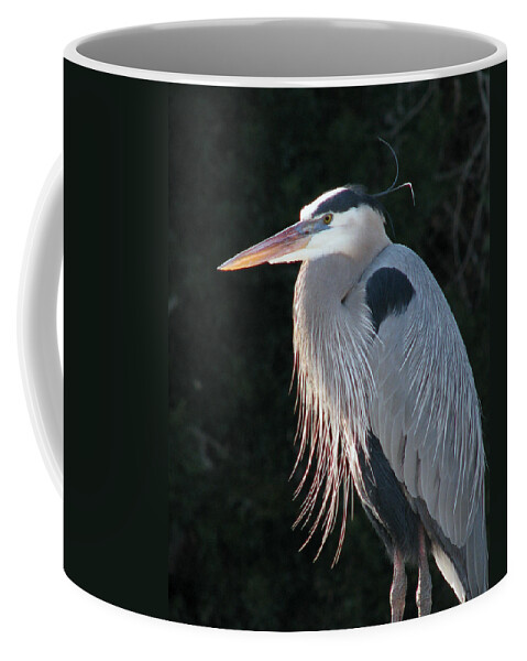 Nature Coffee Mug featuring the photograph Great Blue at Rest by Peggy Urban