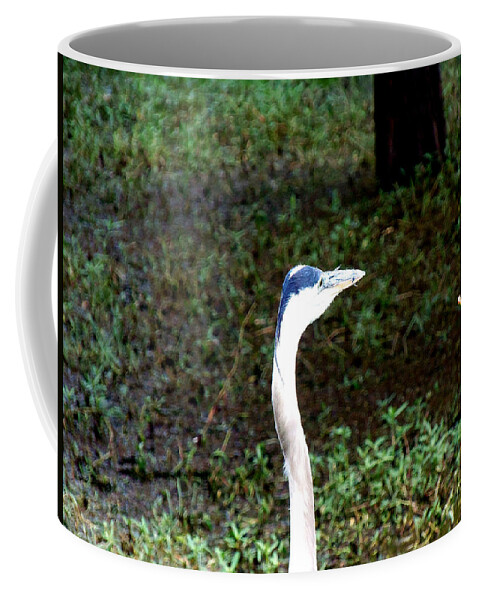 Nature Coffee Mug featuring the photograph Great Blue Heron 042 by Christopher Mercer